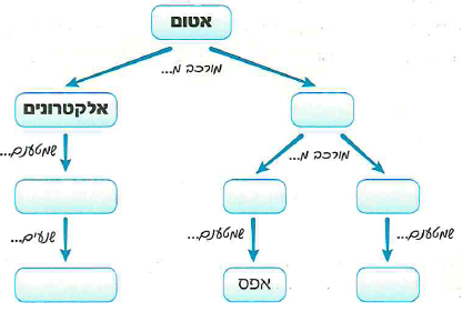 (בספר איור, היעזר במנחה) 